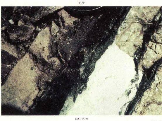 fig 35 Cretaceous time for many millions of years This deposit as you can - фото 40