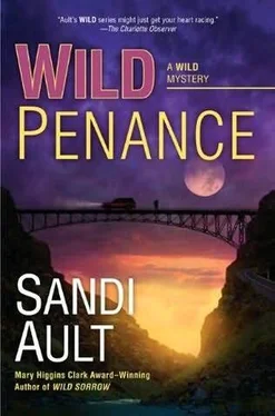 Sandi Ault Wild Penance обложка книги