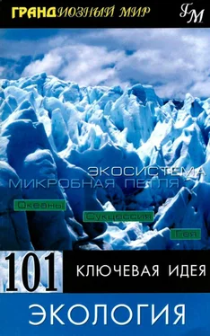 Пол Митчелл 101 ключевая идея: Экология обложка книги