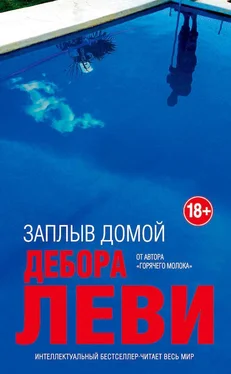 Дебора Леви Заплыв домой обложка книги