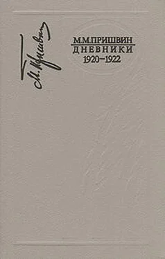 Михаил Пришвин Дневники 1920-1922 обложка книги