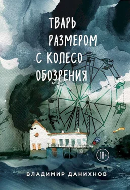 Владимир Данихнов Тварь размером с колесо обозрения обложка книги