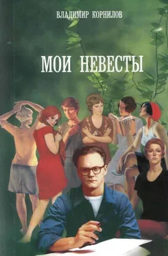 Владимир Корнилов Любушка обложка книги