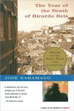 José Saramago Year of the Death of Ricardo Reis обложка книги