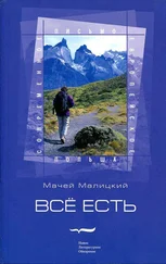 Мачей Малицкий - Всё есть