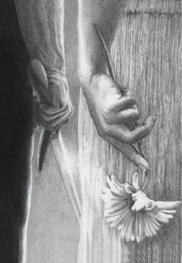 CHAPTER SIX His kiss was so unexpected that Anastasia was surprised into - фото 10