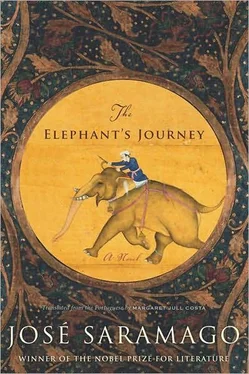 José Saramago The Elephant's Journey обложка книги