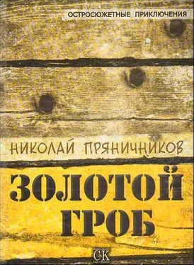 Николай Пряничников Золотой гроб обложка книги