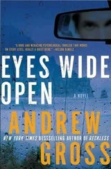 Andrew Gross - Eyes Wide Open (aka Killing Hour)