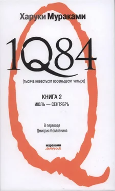 Харуки Мураками 1Q84 (Тысяча невестьсот восемьдесят четыре) обложка книги