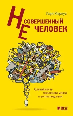 Гари Маркус Несовершенный человек. Случайность эволюции мозга и ее последствия. обложка книги