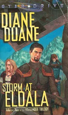 Diane Duane Storm at Eldala обложка книги