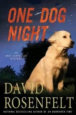 David Rosenfelt One Dog Night обложка книги