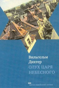 Вильгельм Дихтер Олух Царя Небесного обложка книги