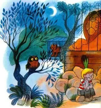 Anche Cipollino era abbastanza commosso Povero babbo pensava anchio - фото 36