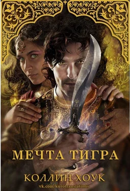 Коллин Хоук Мечта тигра обложка книги