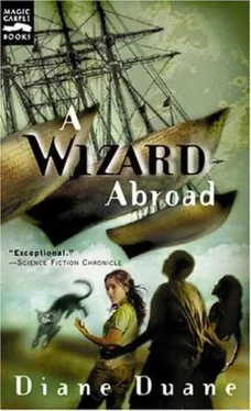 Диана Дуэйн A Wizard Abroad обложка книги