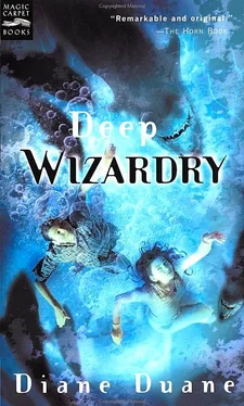 Diane Duane Deep Wizardry обложка книги