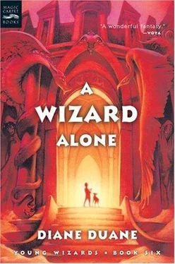 Diane Duane A Wizard Alone обложка книги