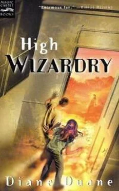 Диана Дуэйн High Wizardry обложка книги