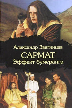 Александр Звягинцев Эффект бумеранга обложка книги