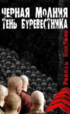 Равиль Бикбаев Черная молния. Тень буревестника. обложка книги