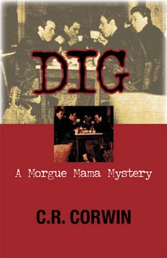 C Corwin Dig обложка книги