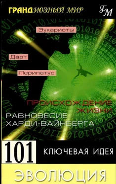 Дженкинс Мортон 101 ключевая идея: Эволюция обложка книги