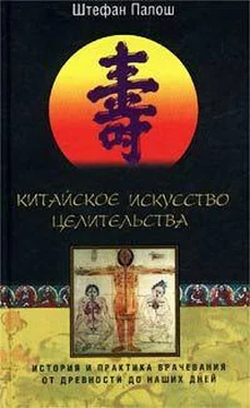 Штефан Палош Китайское искусство целительства. История и практика врачевания от древности до наших дней обложка книги