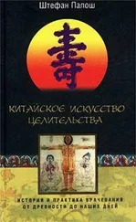 Штефан Палош - Китайское искусство целительства. История и практика врачевания от древности до наших дней