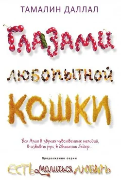 Тамалин Даллал Глазами любопытной кошки обложка книги