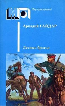 Аркадий Гайдар Лесные братья. Ранние приключенческие повести обложка книги