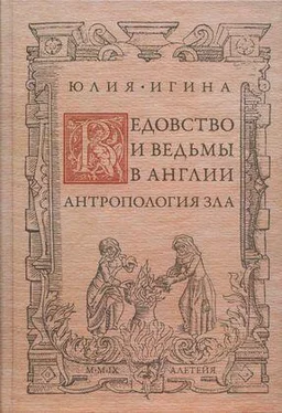 Юлия Игина Ведовство и ведьмы в Англии. Антропология зла обложка книги