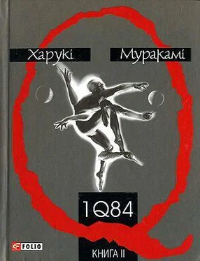 Харукі Муракамі 1Q84. Книга друга обложка книги