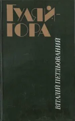 Виталий Петлёванный - Гуляйгора