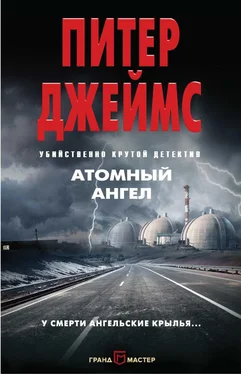 Питер Джеймс Атомный ангел обложка книги