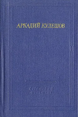 Аркадий Кулешов Знамя бригады обложка книги