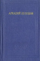 Аркадий Кулешов - Знамя бригады