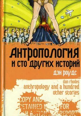 Дэн Роудс Антропология и сто других историй обложка книги