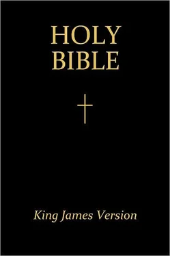 Неизвестный Автор The Holy Bible (King James Version) обложка книги