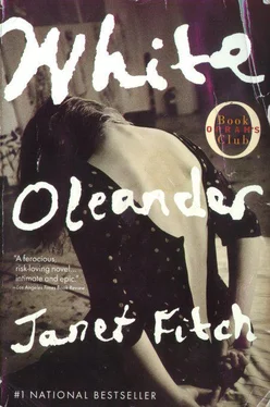 Janet Fitch White Oleander обложка книги