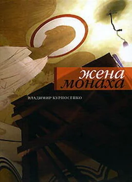 Владимир Курносенко Свете тихий обложка книги