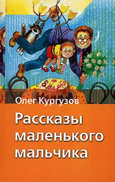 Олег Кургузов Рассказы маленького мальчика обложка книги