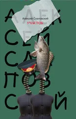 Алексей Слаповский - Участок