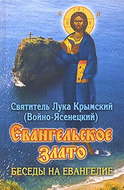 святитель Лука Крымский (Войно-Ясенецкий) Евангельское злато. Беседы на Евангелие обложка книги