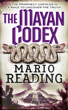 Mario Reading The Mayan Codex обложка книги