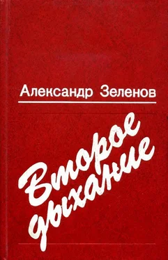 Александр Зеленов Второе дыхание обложка книги