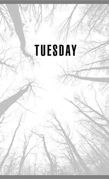 CHAPTER NINE WILL FELT LIKE A THIEF AS HE SNEAKED ACROSS THE LINTON YARD and - фото 3