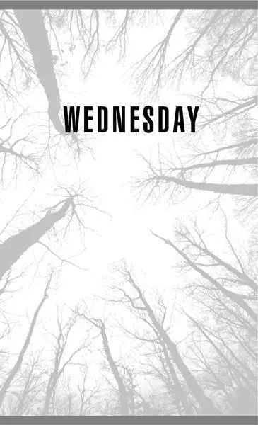 CHAPTER SIXTEEN SARA LISTENED TO THE KITCHEN CLOCK TICK AS THE HANDS moved - фото 4