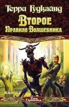 Терри Гудкайнд Второе Правило Волшебника, или Камень Слёз обложка книги